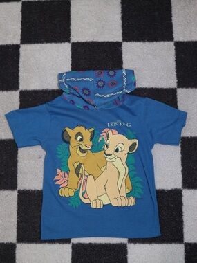 Disney Lion King Pullover Hoodie - Teal, Yellow & Orange